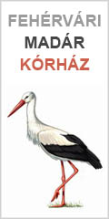 Sz�kesfeh�rv�ri Mad�rk�rh�z