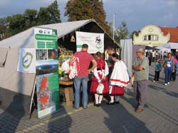kata_expo_17