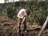 madarbarat_01